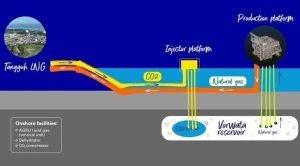 technip-engineering-indonesia-for-bp-tangguh-feed_tri-panji-puring-project